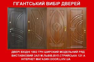 Двері вхідні броньовані Львівські Економ - мод.56